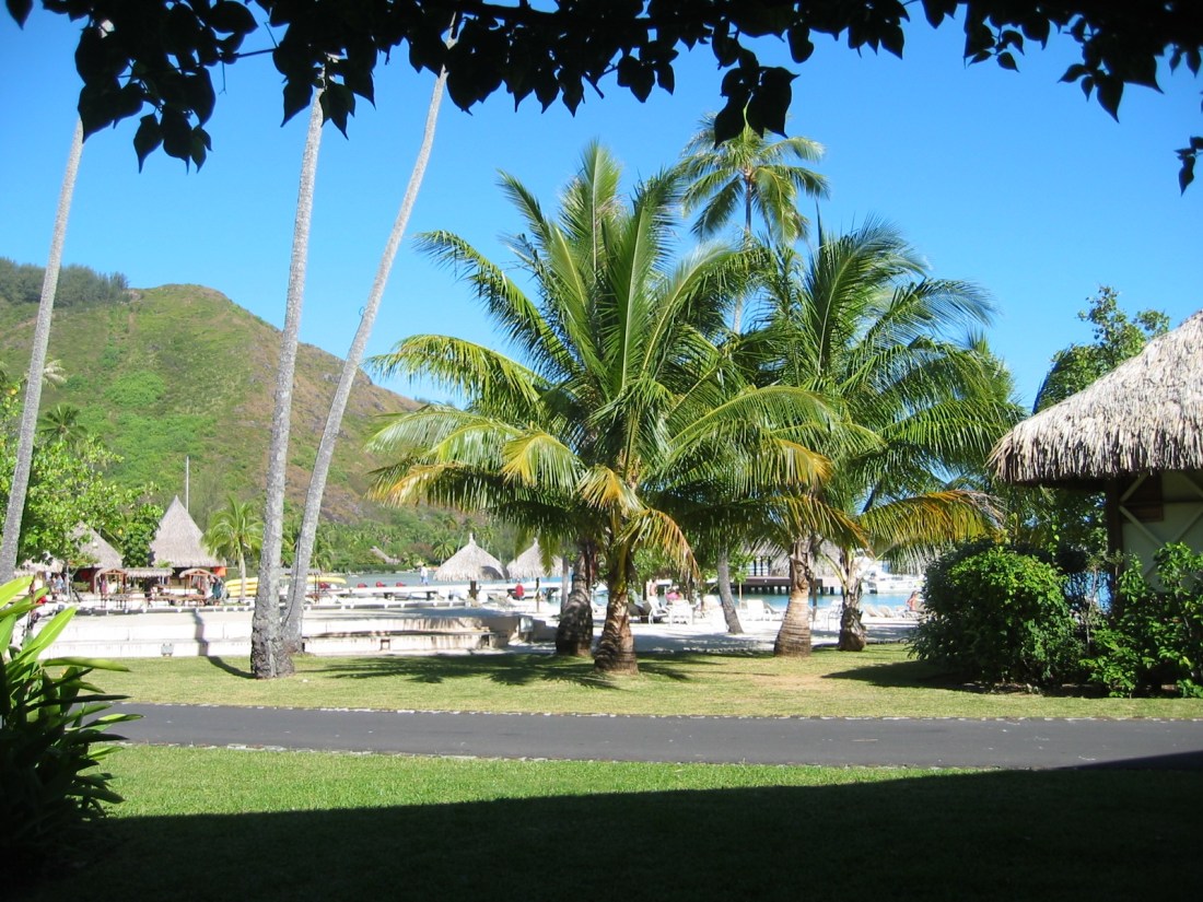 May 20 View frorm our roon